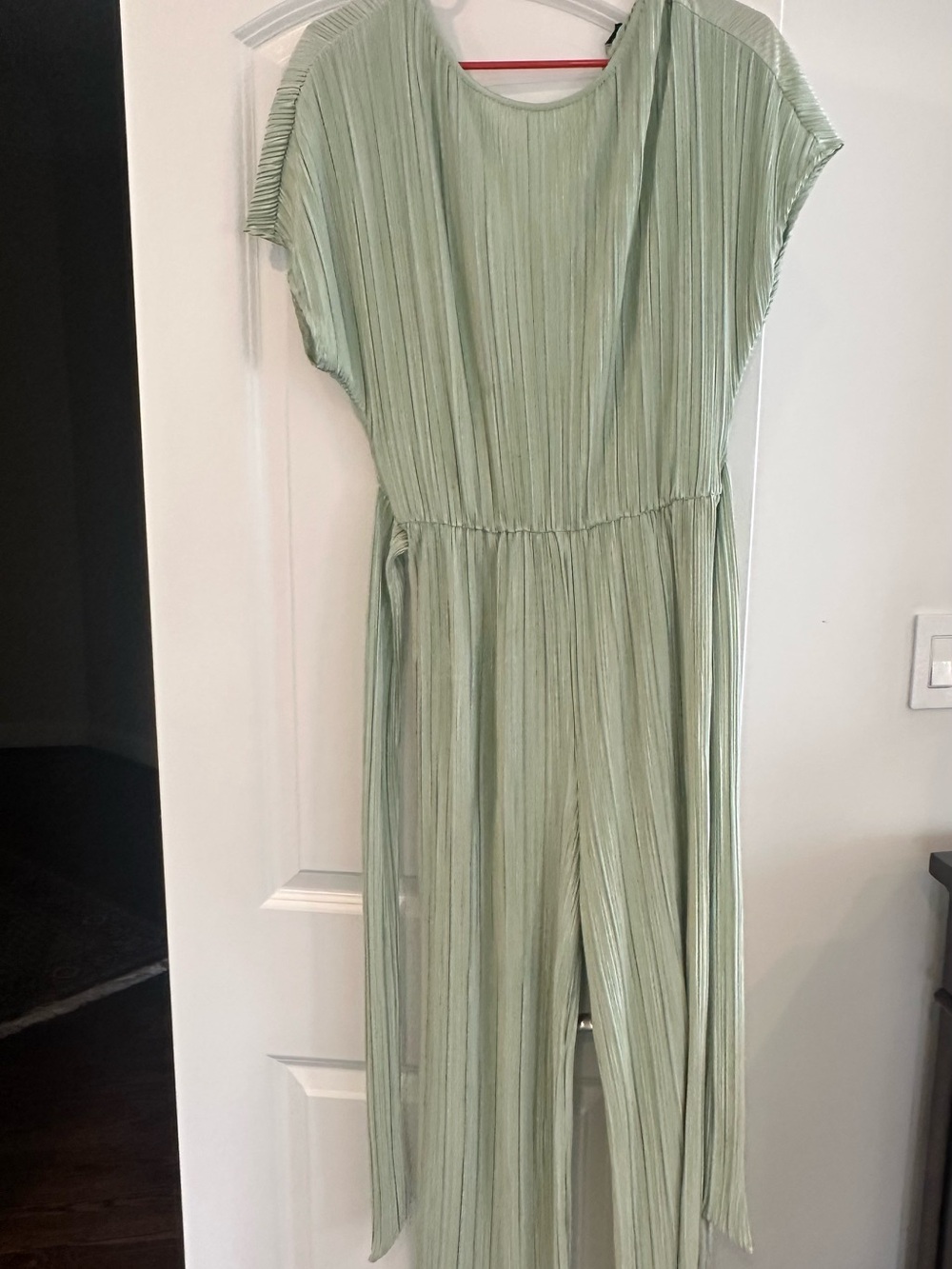 Women’s Pleated Light Green One-Piece Jumpsuit from Bebe. Worn only once.